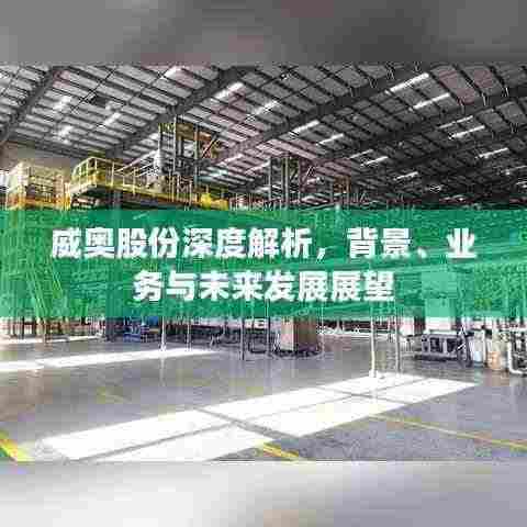 威奥股份深度解析,背景、业务与未来发展展望