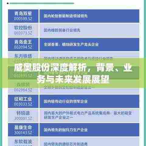 威奥股份深度解析,背景、业务与未来发展展望