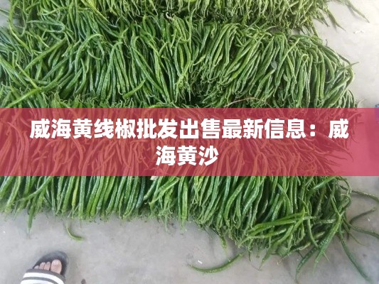 威海黄线椒批发出售最新信息:威海黄沙