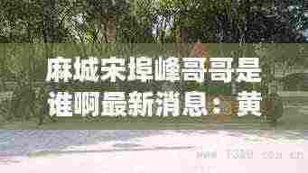 麻城宋埠峰哥哥是谁啊最新消息:黄冈麻城宋埠