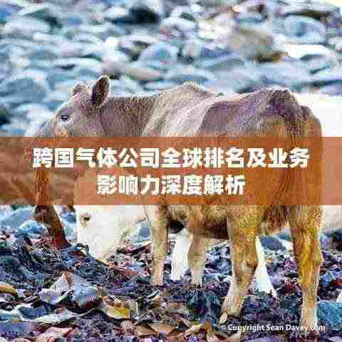 跨国气体公司全球排名及业务影响力深度解析