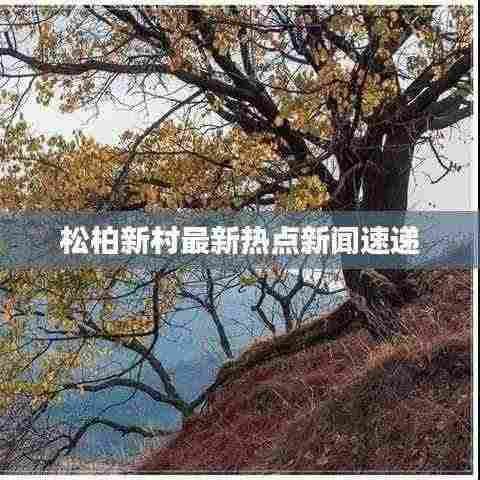 松柏新村最新热点新闻速递