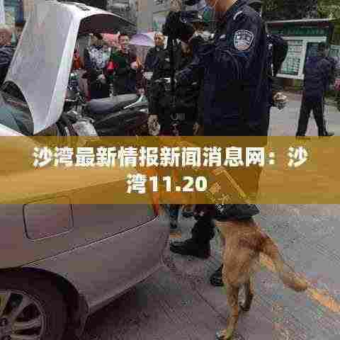 沙湾最新情报新闻消息网：沙湾11.20 