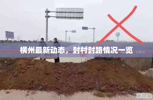 横州最新动态,封村封路情况一览