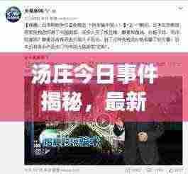 汤庄今日事件揭秘,最新消息抢先看