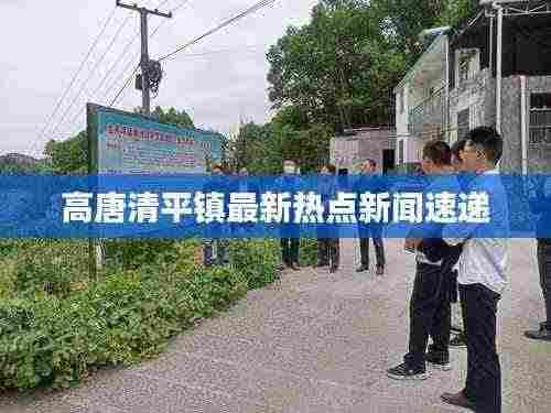 高唐清平镇最新热点新闻速递