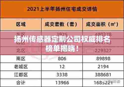 扬州传感器定制公司权威排名榜单揭晓!