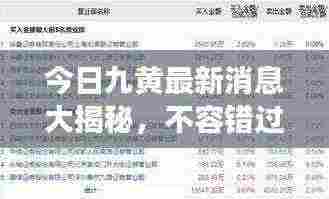今日九黄最新消息大揭秘，不容错过的重磅综述