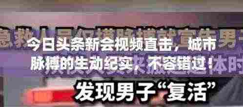 今日头条新会视频直击,城市脉搏的生动纪实,不容错过!