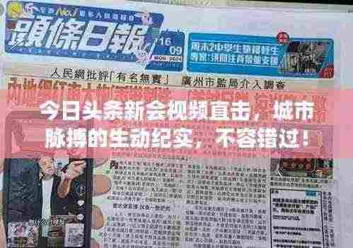 今日头条新会视频直击,城市脉搏的生动纪实,不容错过!