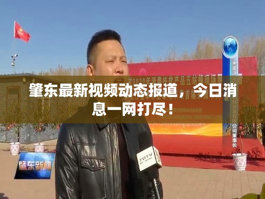 肇东最新视频动态报道,今日消息一网打尽!