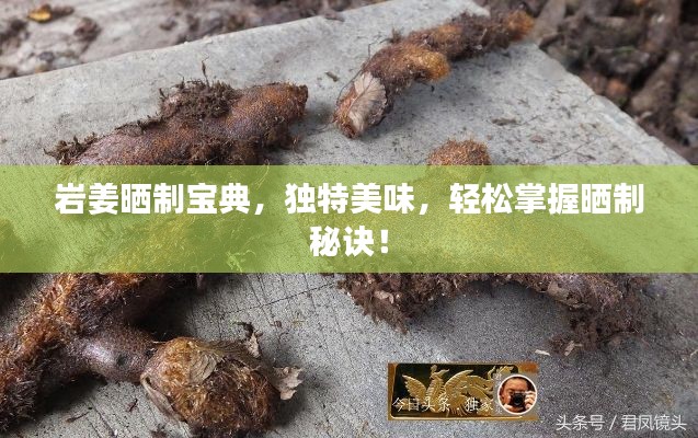 岩姜晒制宝典,独特美味,轻松掌握晒制秘诀!