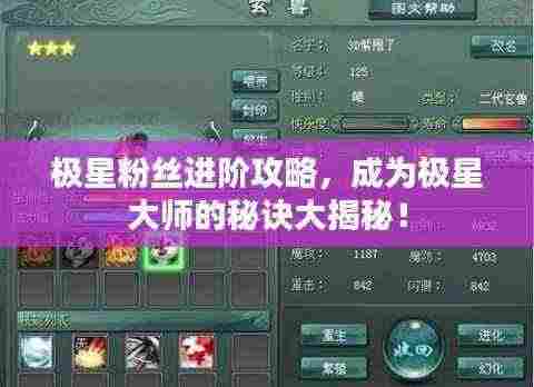 极星粉丝进阶攻略,成为极星大师的秘诀大揭秘!