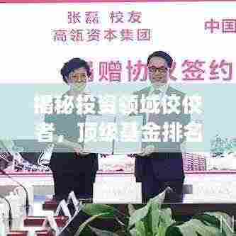 揭秘投资领域佼佼者,顶级基金排名前十强!