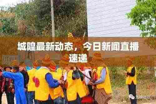 城隍最新动态，今日新闻直播速递