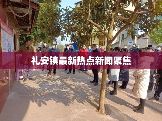 礼安镇最新热点新闻聚焦