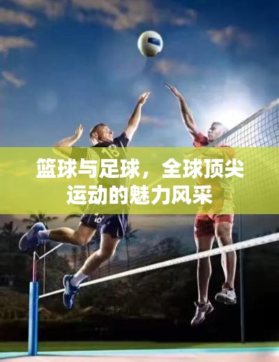 篮球与足球，全球顶尖运动的魅力风采