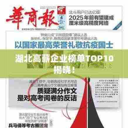 湖北高薪企业榜单TOP10揭晓!