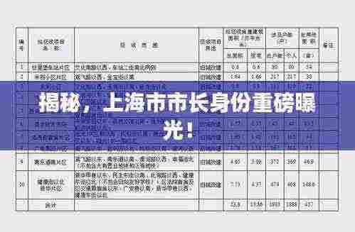 揭秘，上海市市长身份重磅曝光！