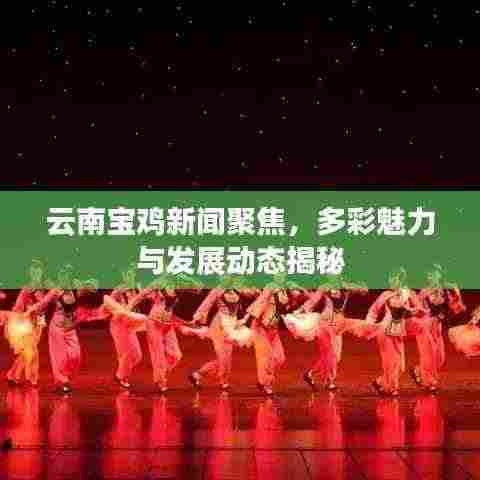 云南宝鸡新闻聚焦,多彩魅力与发展动态揭秘