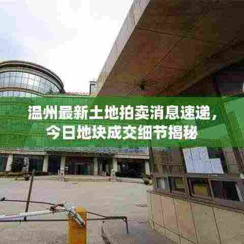 温州最新土地拍卖消息速递,今日地块成交细节揭秘