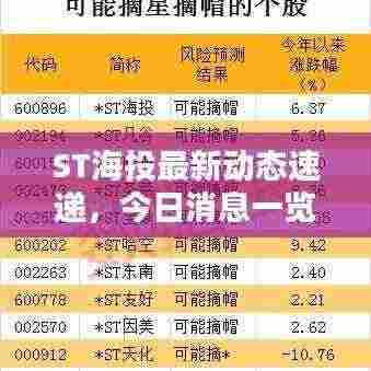 ST海投最新动态速递,今日消息一览