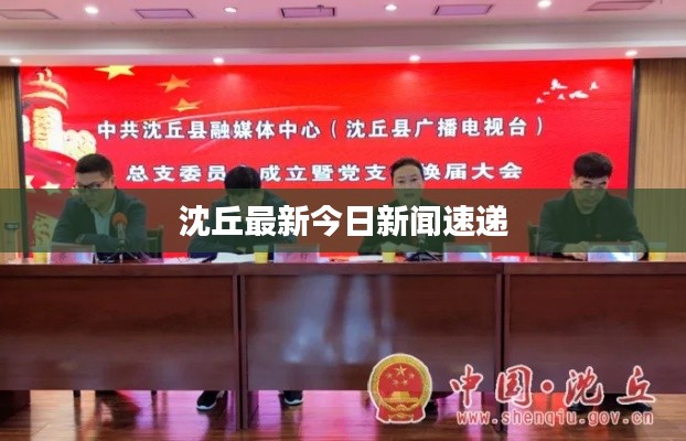 沈丘最新今日新闻速递