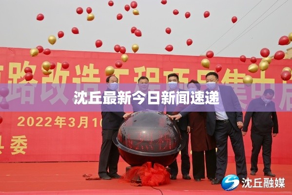 沈丘最新今日新闻速递