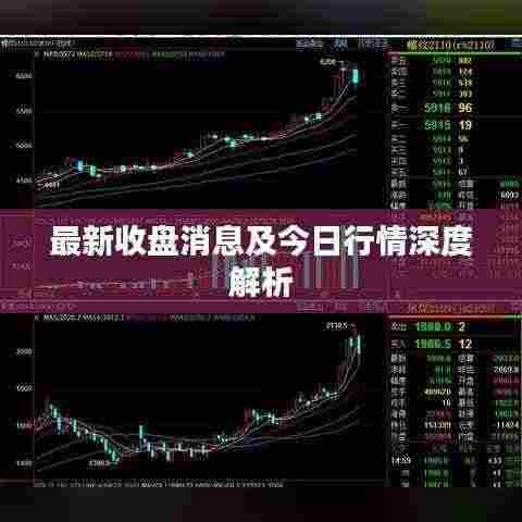 最新收盘消息及今日行情深度解析