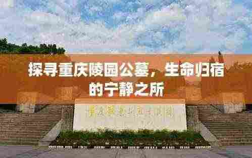 探寻重庆陵园公墓,生命归宿的宁静之所