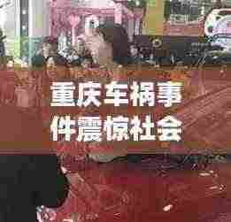 重庆车祸事件震惊社会，引发广泛关注热议