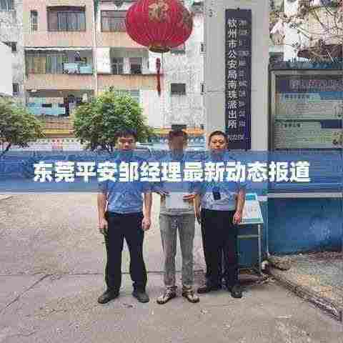 东莞平安邹经理最新动态报道