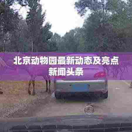 北京动物园最新动态及亮点新闻头条