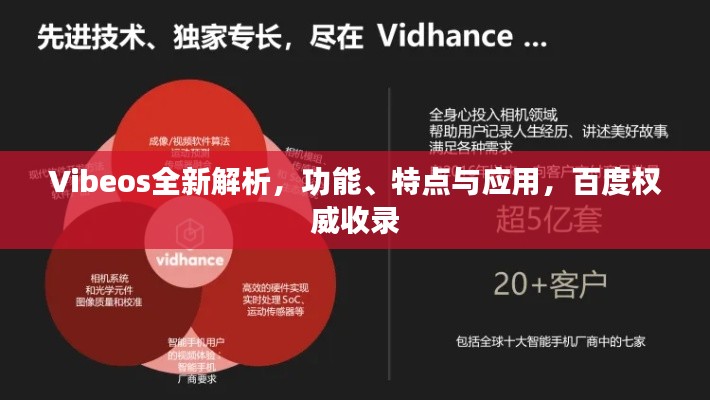 Vibeos全新解析,功能、特点与应用,百度权威收录