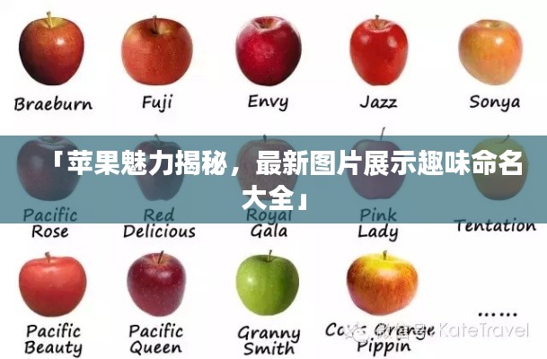 「苹果魅力揭秘,最新图片展示趣味命名大全」