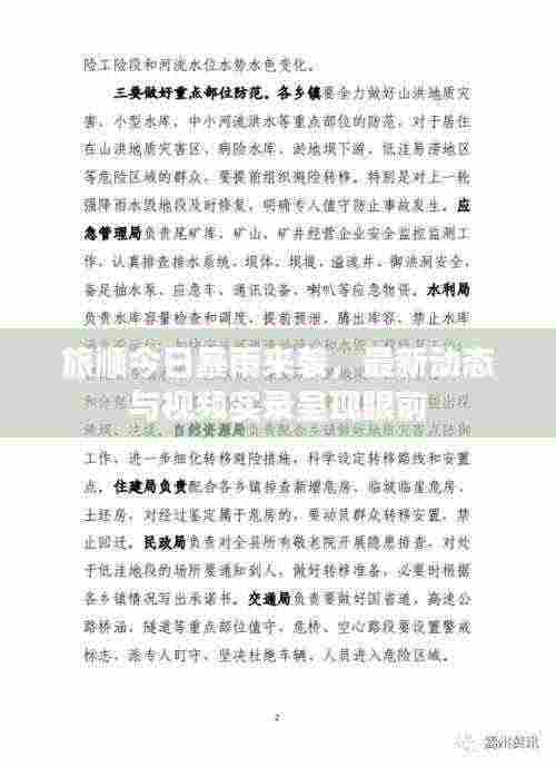 旅顺今日暴雨来袭,最新动态与视频实录呈现眼前