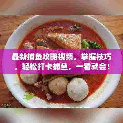 最新捕鱼攻略视频，掌握技巧，轻松打卡捕鱼，一看就会！