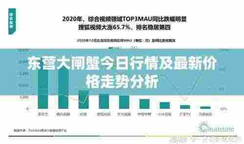 东营大闸蟹今日行情及最新价格走势分析