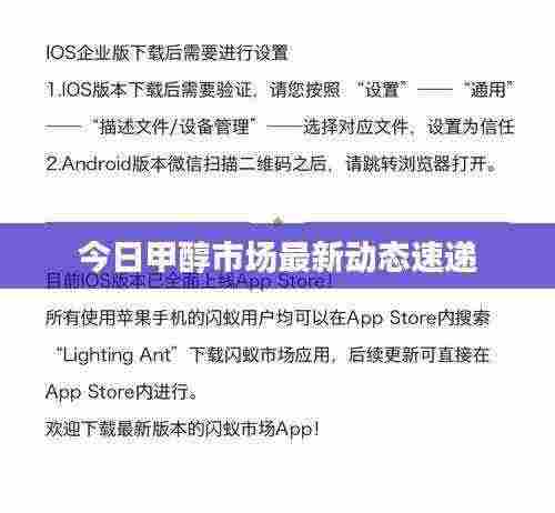 今日甲醇市场最新动态速递