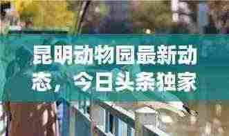 熊经鸟伸 第3页