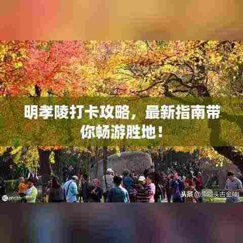 明孝陵打卡攻略，最新指南带你畅游胜地！