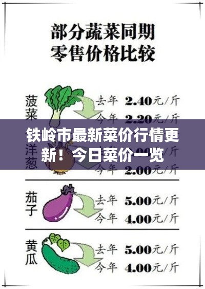 铁岭市最新菜价行情更新！今日菜价一览