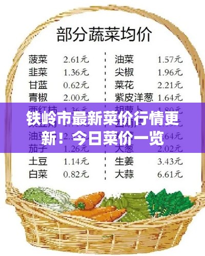 铁岭市最新菜价行情更新!今日菜价一览