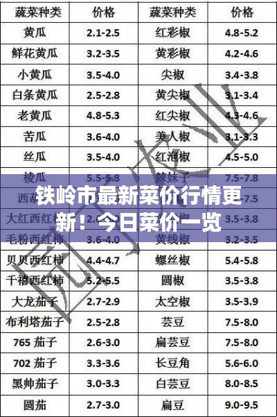铁岭市最新菜价行情更新!今日菜价一览