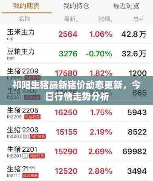 祁阳生猪最新猪价动态更新,今日行情走势分析