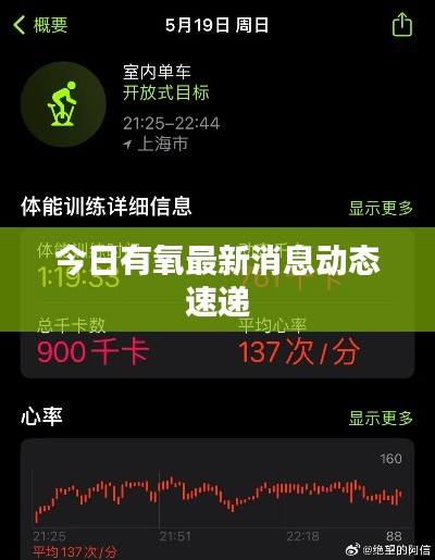 今日有氧最新消息动态速递