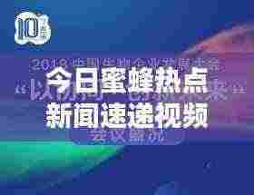 今日蜜蜂热点新闻速递视频报道