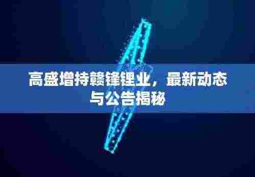高盛增持赣锋锂业,最新动态与公告揭秘