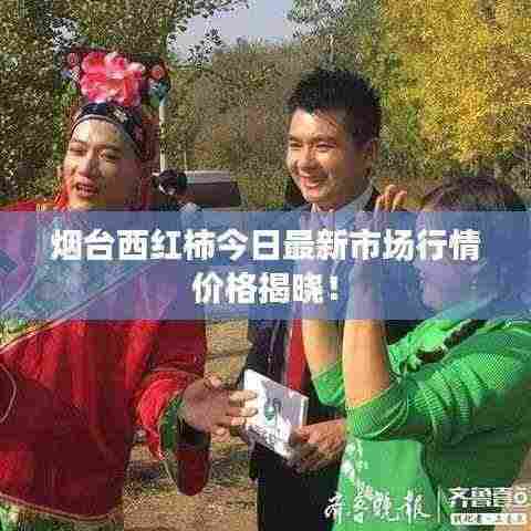 烟台西红柿今日最新市场行情价格揭晓!