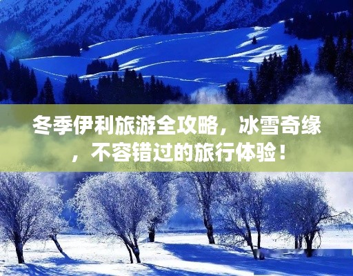 冬季伊利旅游全攻略，冰雪奇缘，不容错过的旅行体验！